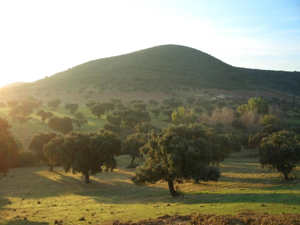 Cortijo El Criadero El Hoyo Værelse billede