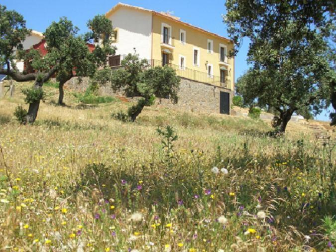 Cortijo El Criadero El Hoyo Eksteriør billede